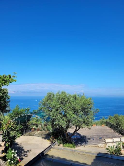 马萨鲁布朗斯Sun & Relax, Relaxing Location With Seaview别墅 外观 照片